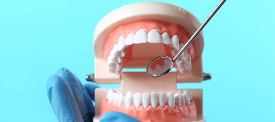 Preventative Dental Treatment Clinic Near Me in Clifton, NJ Preventative Dental Treatment Clinic Near Me in Clifton, NJ